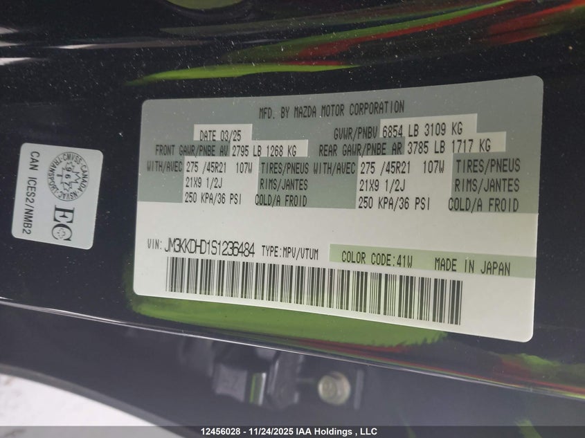 2025 Mazda Cx-9 VIN: JM3KKDHD1S1236484 Lot: 12456028