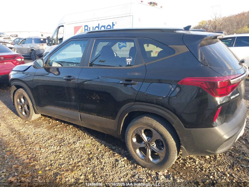 2023 Kia Seltos Lx VIN: KNDEP2AA3P7366900 Lot: 12456056