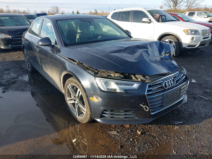 WAUCNAF40HN059558 2017 Audi A4 2.0T Technik auction photo 1