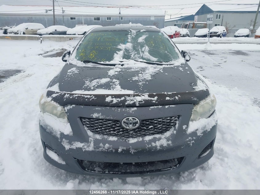 2009 Toyota Corolla VIN: 2T1BU40E99C070096 Lot: 12456268