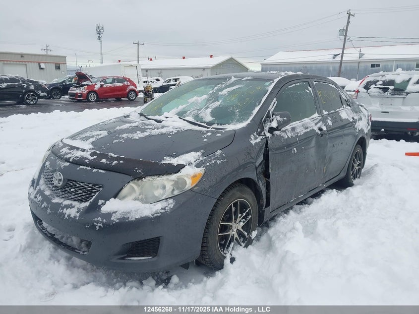 2009 Toyota Corolla VIN: 2T1BU40E99C070096 Lot: 12456268