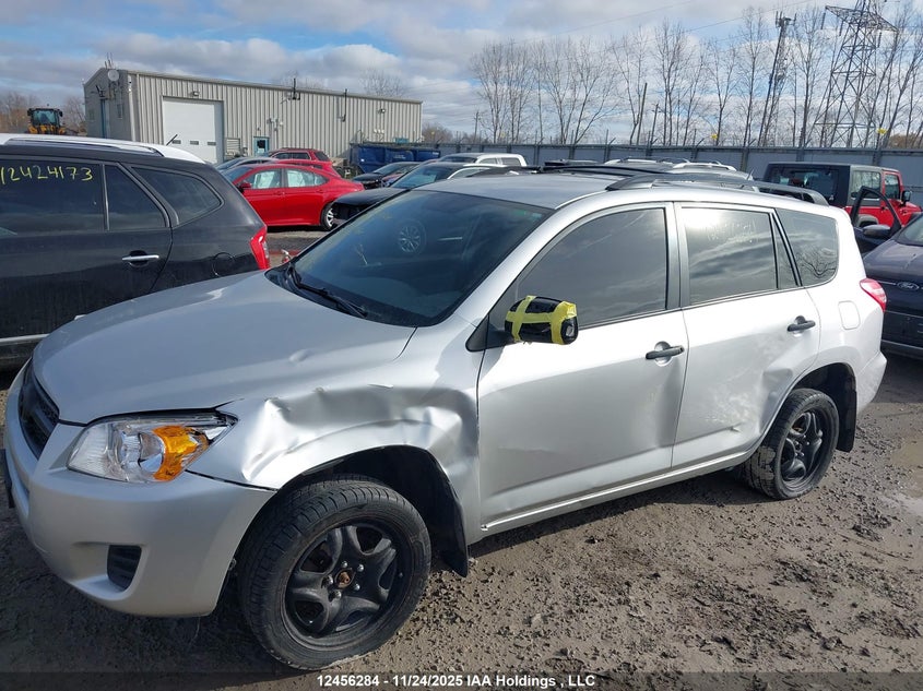 2011 Toyota Rav4 VIN: 2T3BF4DV8BW114704 Lot: 12456284