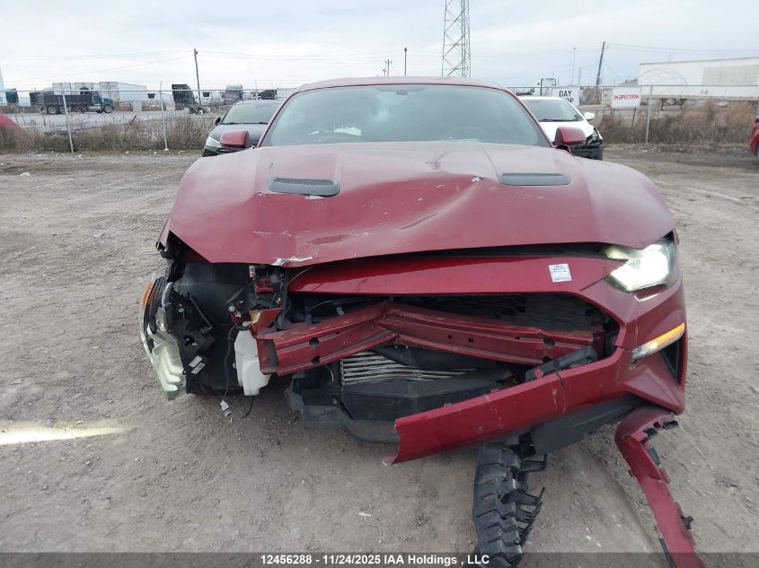 2019 Ford Mustang Ecoboost Premium VIN: 1FA6P8TH9K5102706 Lot: 12456288