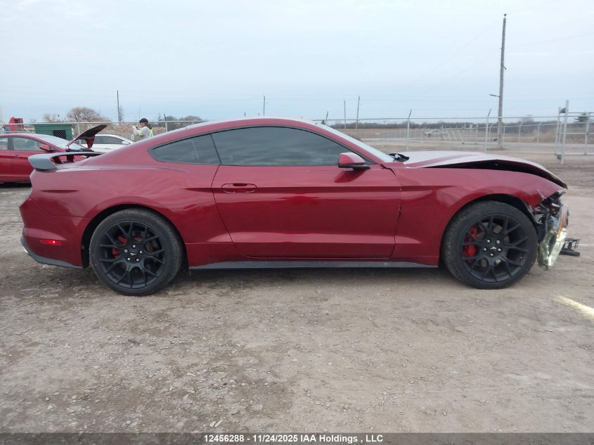 2019 Ford Mustang Ecoboost Premium VIN: 1FA6P8TH9K5102706 Lot: 12456288