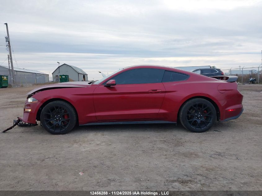 2019 Ford Mustang Ecoboost Premium VIN: 1FA6P8TH9K5102706 Lot: 12456288