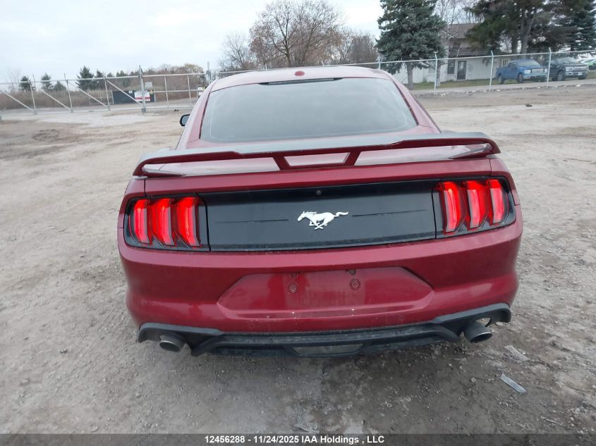 2019 Ford Mustang Ecoboost Premium VIN: 1FA6P8TH9K5102706 Lot: 12456288