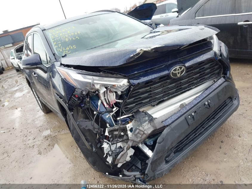 2025 Toyota Rav4 VIN: 2T3R1RFV3SW507968 Lot: 12456322