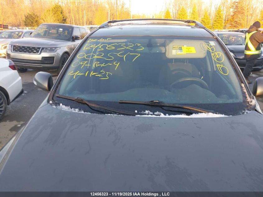 2009 Toyota Rav4 VIN: 2T3BK32V29W002547 Lot: 12456323