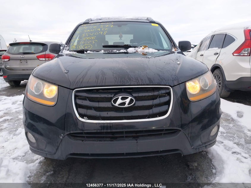 2010 Hyundai Santa Fe Se VIN: 5NMSHDAG5AH354098 Lot: 12456377