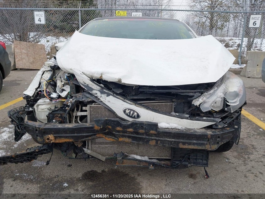 2014 Kia Forte VIN: KNAFX4A88E5208720 Lot: 12456381