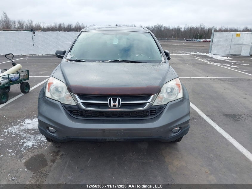 2010 Honda Cr-V VIN: 5J6RE4H31AL805496 Lot: 12456385