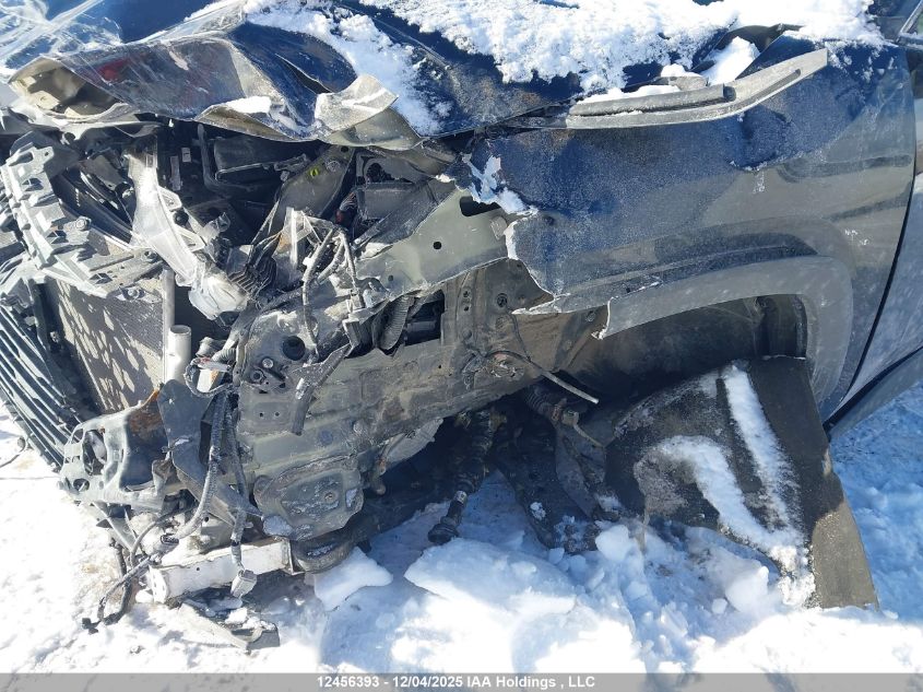 2023 Toyota Rav4 VIN: 2T3R1RFV4PC331862 Lot: 12456393