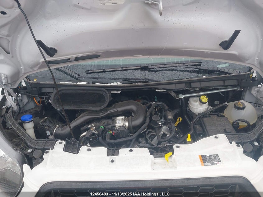 2025 Ford Transit T-250 VIN: 1FTBR1X8XSKA89261 Lot: 12456403