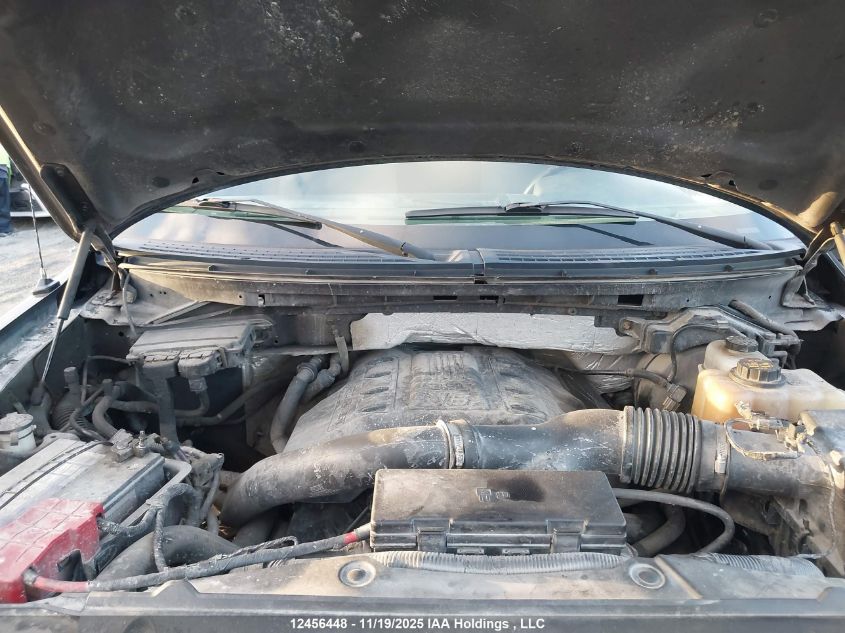 2013 Ford F-150 Xlt VIN: 1FTFX1ET0DFA25210 Lot: 12456448