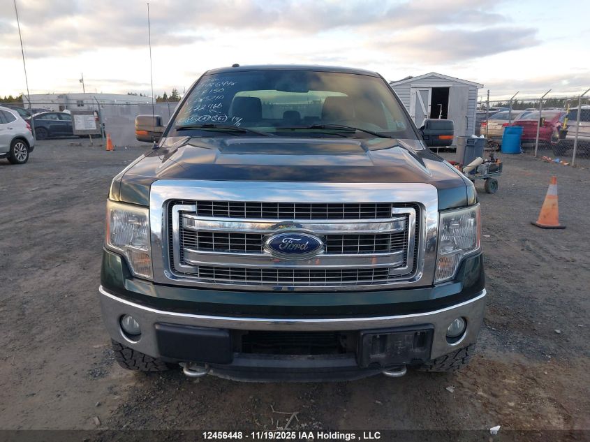 2013 Ford F-150 Xlt VIN: 1FTFX1ET0DFA25210 Lot: 12456448