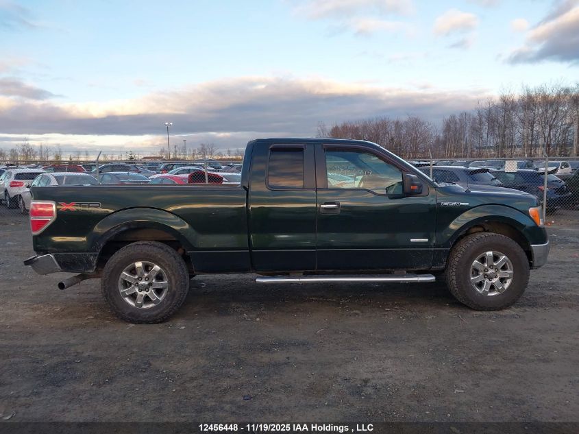 2013 Ford F-150 Xlt VIN: 1FTFX1ET0DFA25210 Lot: 12456448