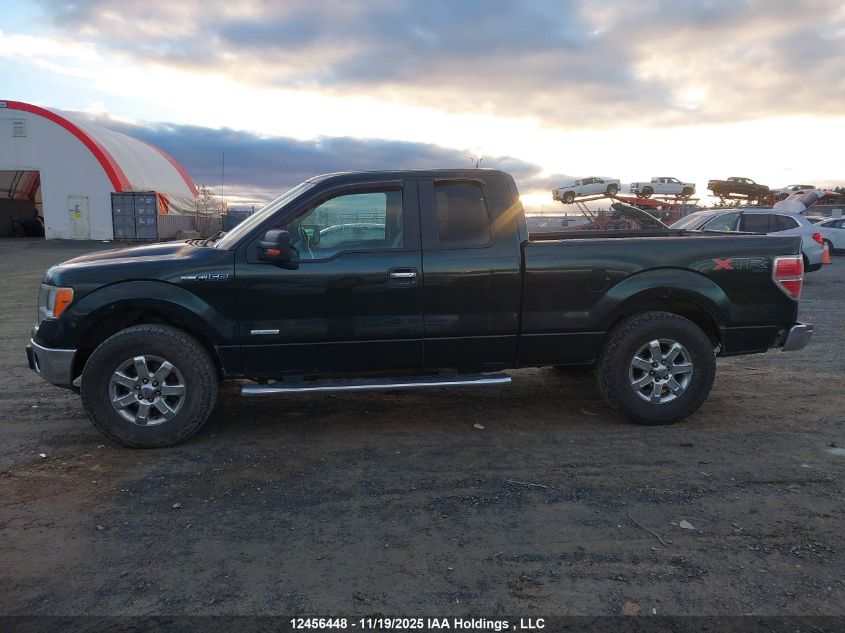 2013 Ford F-150 Xlt VIN: 1FTFX1ET0DFA25210 Lot: 12456448
