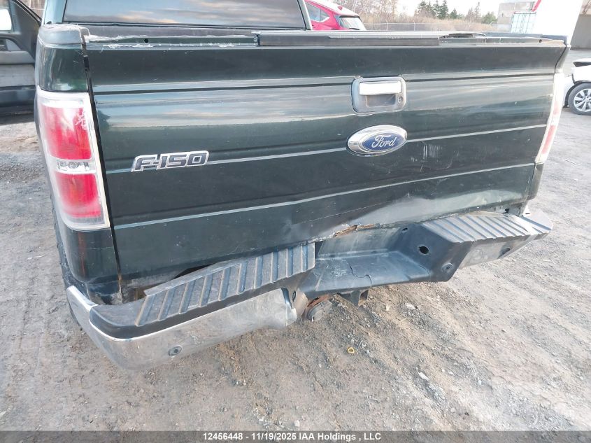 2013 Ford F-150 Xlt VIN: 1FTFX1ET0DFA25210 Lot: 12456448