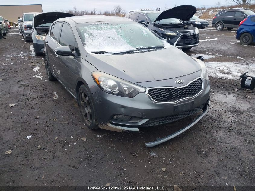 2016 Kia Forte 2.0L Ex/2.0L Lx+ VIN: KNAFX5A81G5450046 Lot: 12456452
