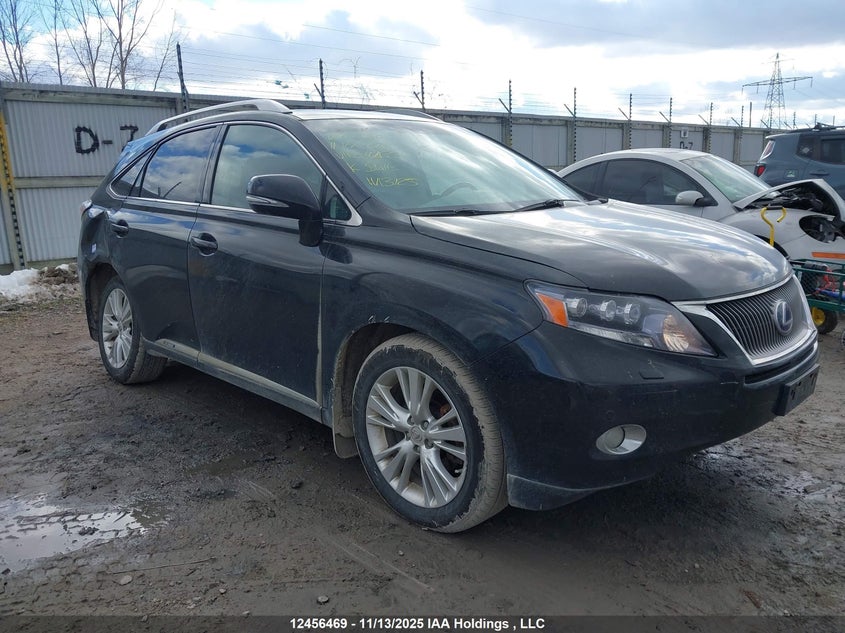 JTJBC1BA3B2421551 2011 LEXUS RX photo no. 14