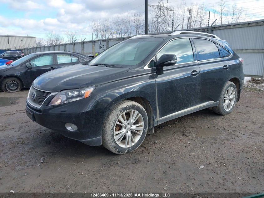 JTJBC1BA3B2421551 2011 LEXUS RX photo no. 2