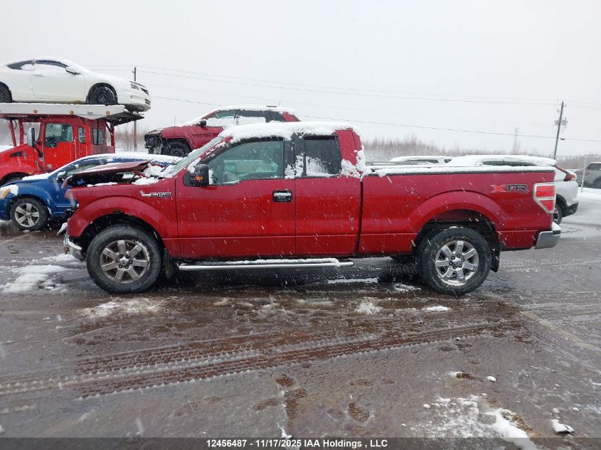 2013 Ford F-150 Xlt VIN: 1FTFX1EF2DFD58440 Lot: 12456487