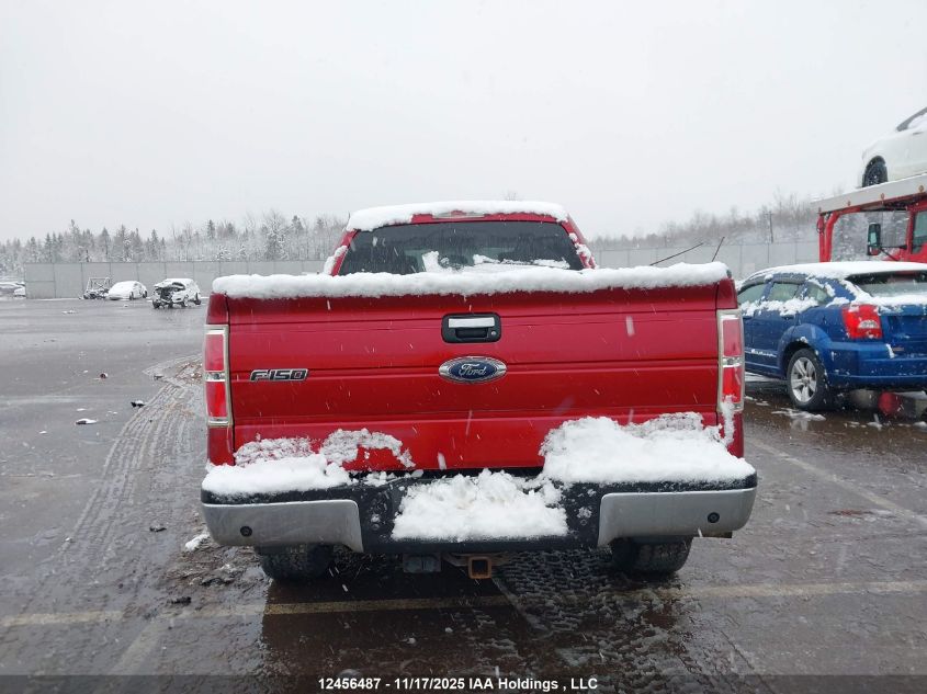 2013 Ford F-150 Xlt VIN: 1FTFX1EF2DFD58440 Lot: 12456487