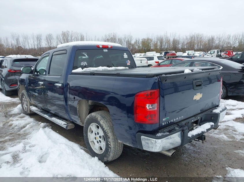 3GCRCSE04AG294695 2010 CHEVROLET SILVERADO photo no. 3