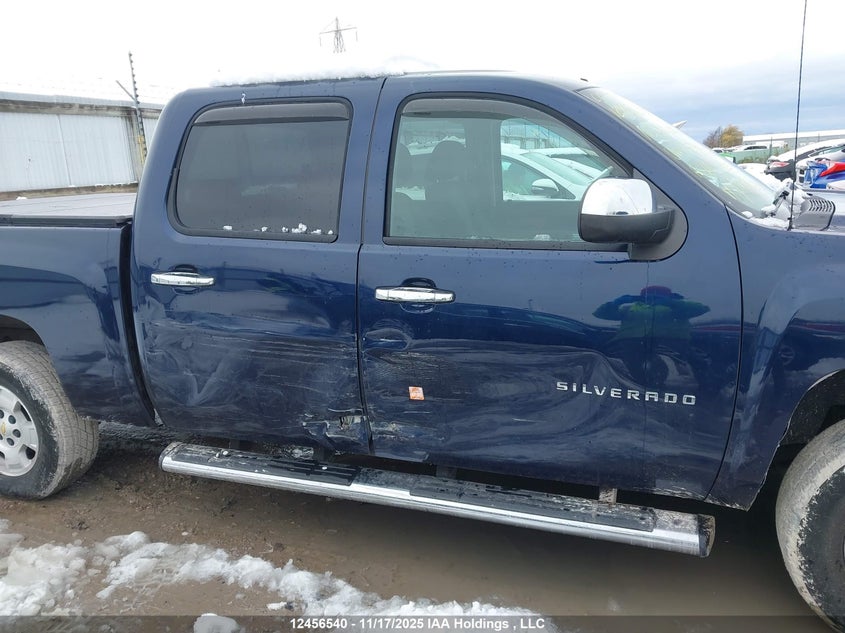 3GCRCSE04AG294695 2010 CHEVROLET SILVERADO photo no. 6