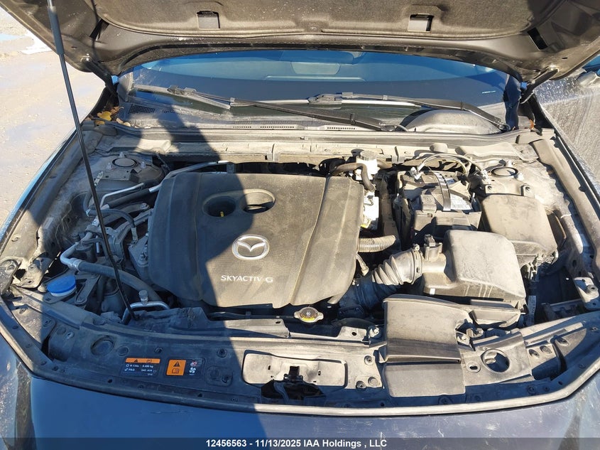 2019 Mazda Mazda3 Gs VIN: JM1BPBCM4K1141827 Lot: 12456563