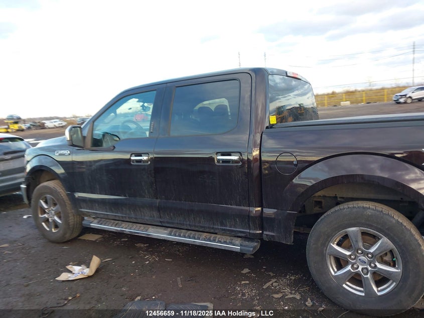 1FTEW1EP5LFB57573 2020 FORD F-150 photo no. 14