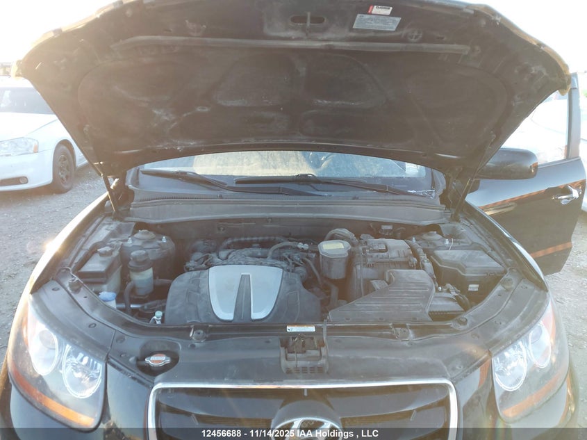 2010 Hyundai Santa Fe Se VIN: 5NMSHDAG3AH348929 Lot: 12456688