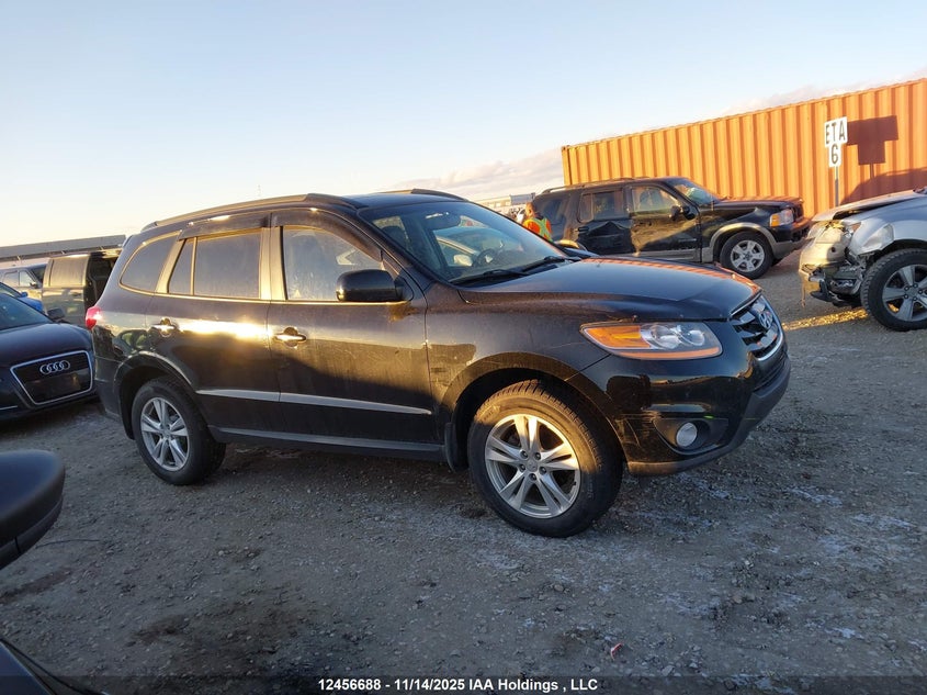 2010 Hyundai Santa Fe Se VIN: 5NMSHDAG3AH348929 Lot: 12456688