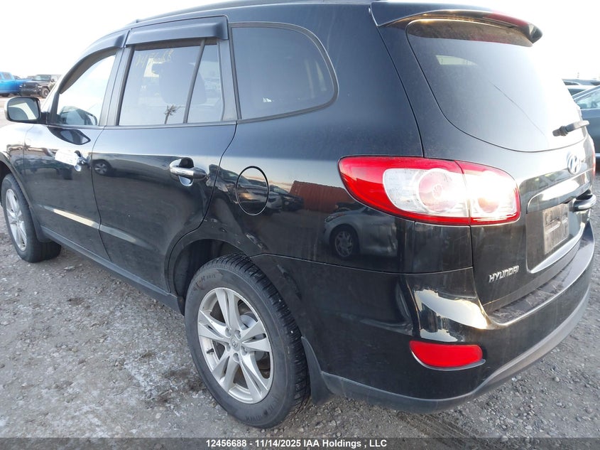 2010 Hyundai Santa Fe Se VIN: 5NMSHDAG3AH348929 Lot: 12456688