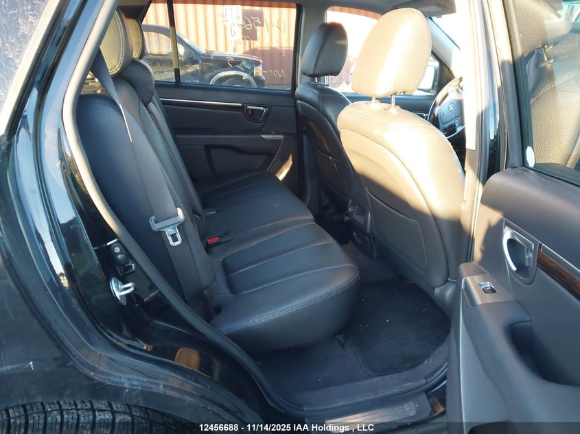 2010 Hyundai Santa Fe Se VIN: 5NMSHDAG3AH348929 Lot: 12456688