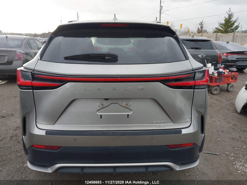 2022 Lexus Nx 350 VIN: 2T2KGCEZ2NC014956 Lot: 12456693