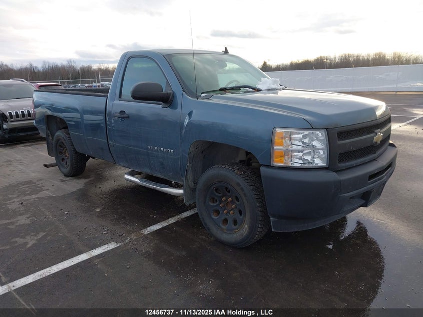1GCPCPEA4AZ258325 2010 CHEVROLET SILVERADO photo no. 20
