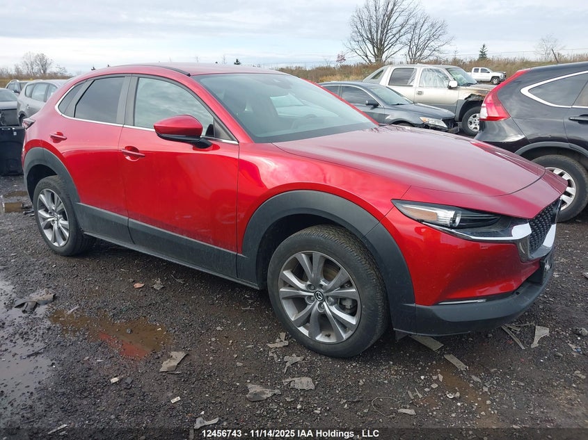 2022 Mazda Cx-30 Gs VIN: 3MVDMBCL8NM448609 Lot: 12456743