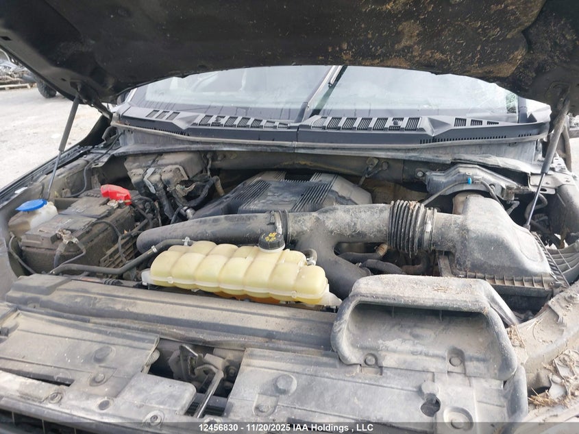 1FTFW1E42LFB01732 2020 FORD F-150 photo no. 10