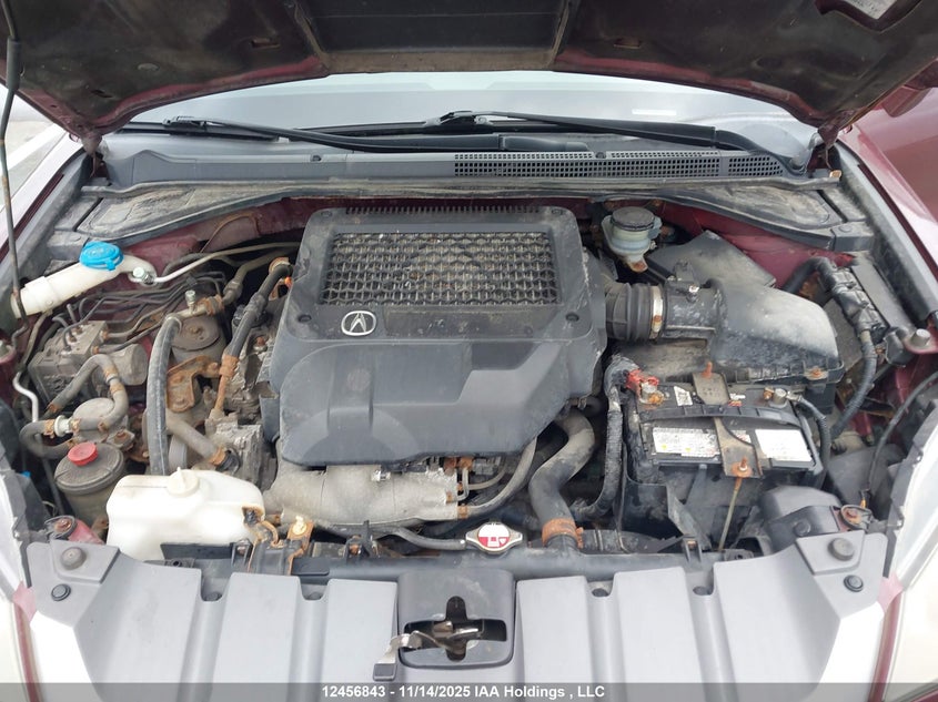 2009 Acura Rdx VIN: 5J8TB18209A800048 Lot: 12456843