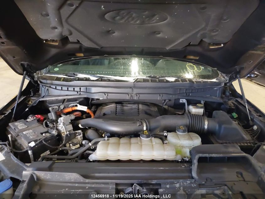 2022 Ford F-150 Xlt VIN: 1FTFW1ED3NFB21166 Lot: 12456918