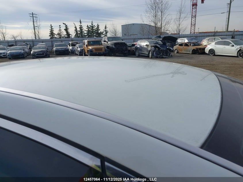 2007 Infiniti M35X VIN: JNKAY01F67M459292 Lot: 12457064