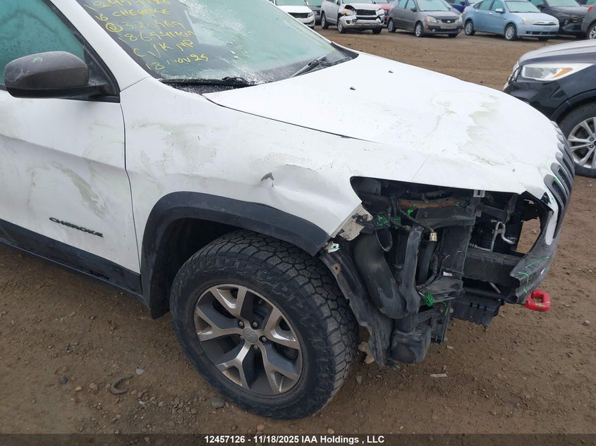 2016 Jeep Cherokee Trailhawk VIN: 1C4PJMBS9GW320569 Lot: 12457126