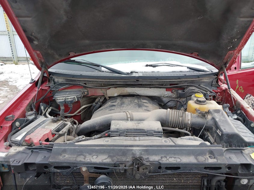 2013 Ford F-150 VIN: 1FTFX1ET5DFD35983 Lot: 12457196