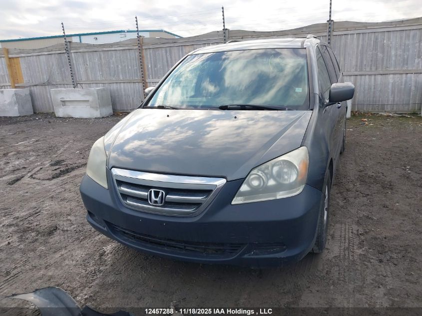 2007 Honda Odyssey Ex-L VIN: 5FNRL38667B504962 Lot: 12457288