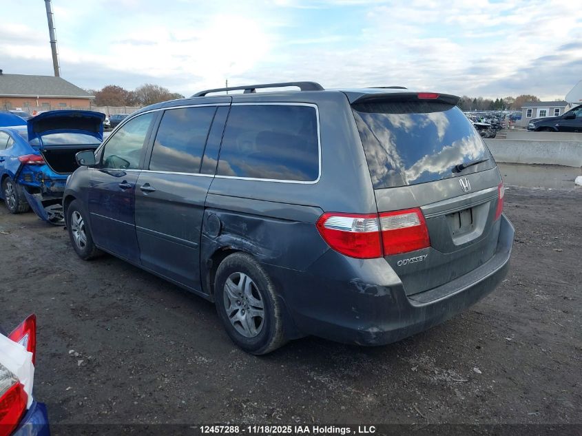 2007 Honda Odyssey Ex-L VIN: 5FNRL38667B504962 Lot: 12457288