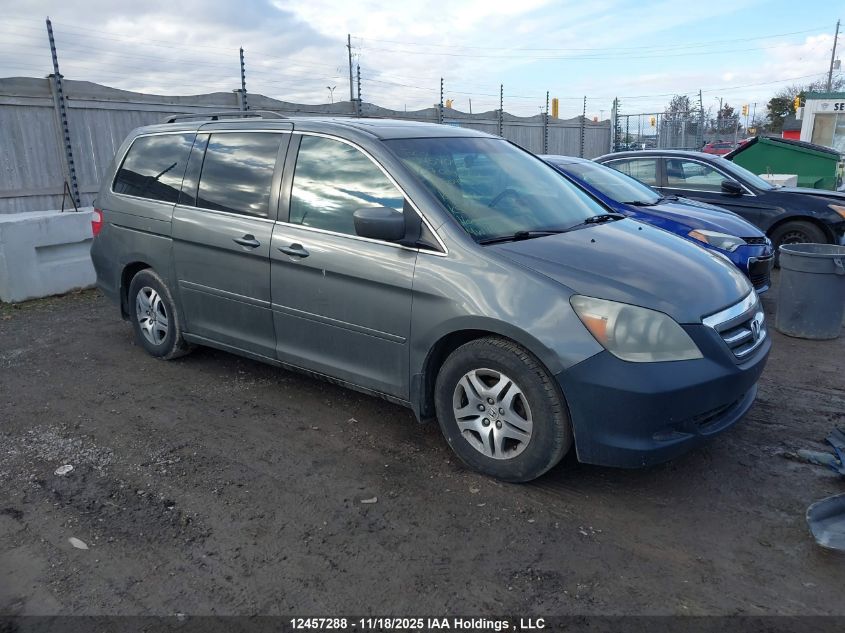 2007 Honda Odyssey Ex-L VIN: 5FNRL38667B504962 Lot: 12457288