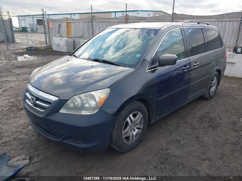 2007 Honda Odyssey Ex-L VIN: 5FNRL38667B504962 Lot: 12457288