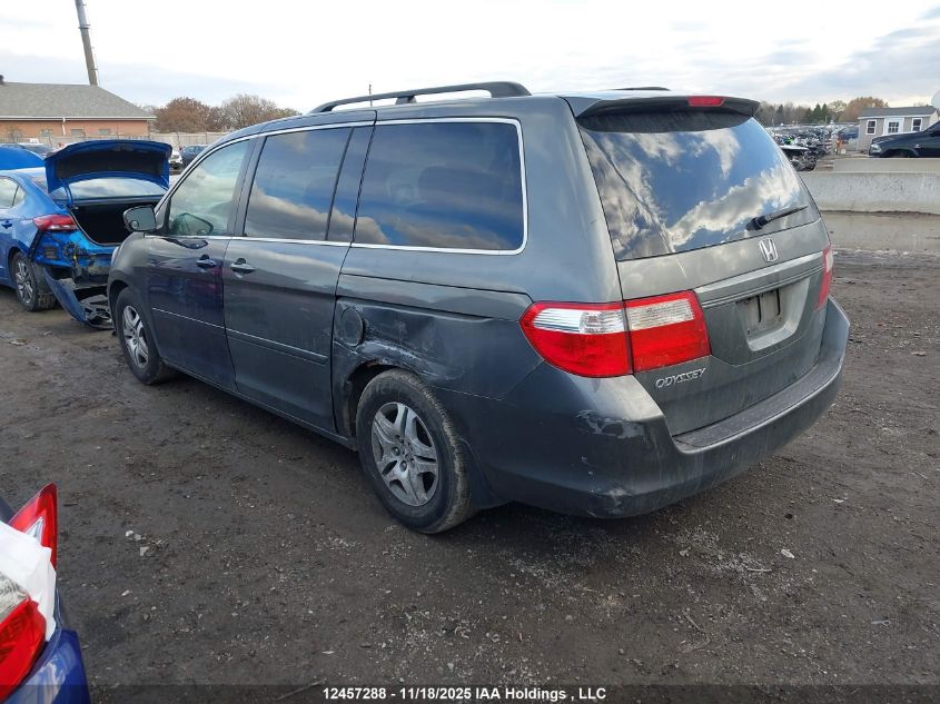 2007 Honda Odyssey Ex-L VIN: 5FNRL38667B504962 Lot: 12457288
