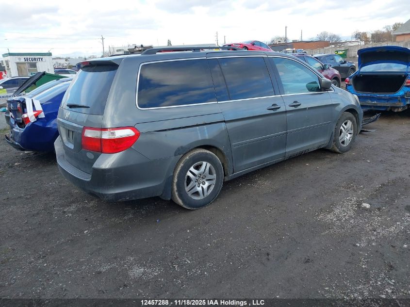 2007 Honda Odyssey Ex-L VIN: 5FNRL38667B504962 Lot: 12457288